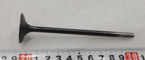 Intake Valve for BYD SONG PRO DM-i