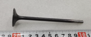 Intake Valve for BYD SONG PRO DM-i