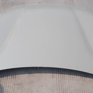 Front Hood Assembly for BYD SONG PRO DM-i