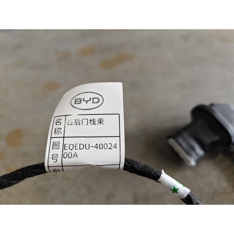 Right Rear Door Wiring Harness BYD 15536920-00