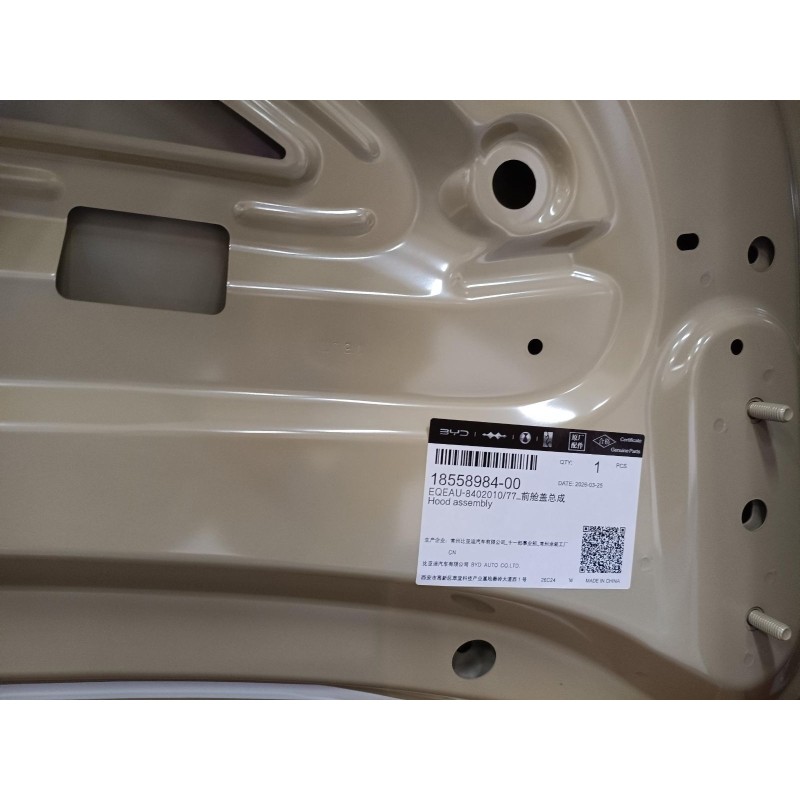 Hood BYD 18558984-00