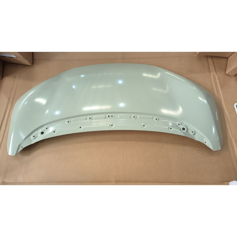 Hood BYD 18558984-00