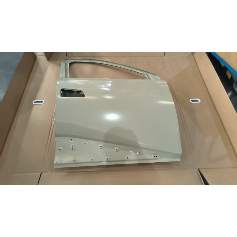 Right Front Door BYD 18651874-00