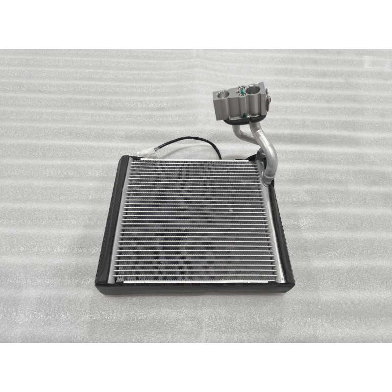 Evaporator Body BYD 18747522-00