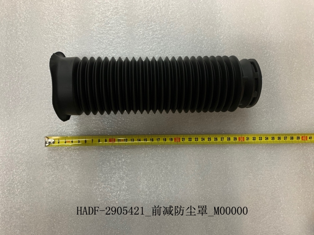 Front Dust Cover | BYD 12438270-00 | Additional view 2