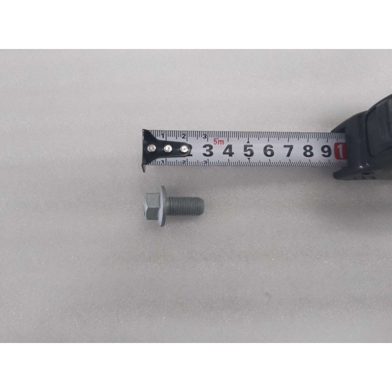 Hexagonal flange bolt BYD 13910120-00
