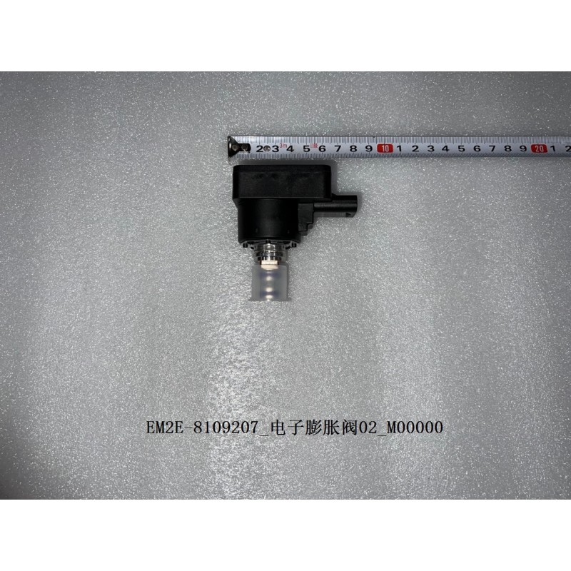 Electronic Expansion Valve 02 | BYD 13237180-00 | Product view