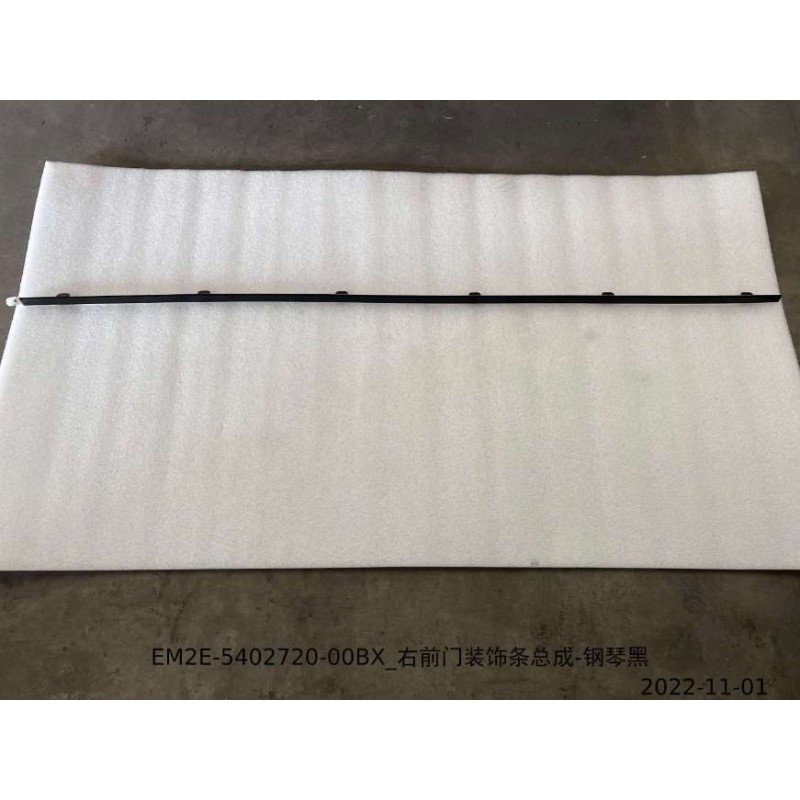 Front Right Door Trim Strip Assembly - Black | BYD 13235049-00 | Product view