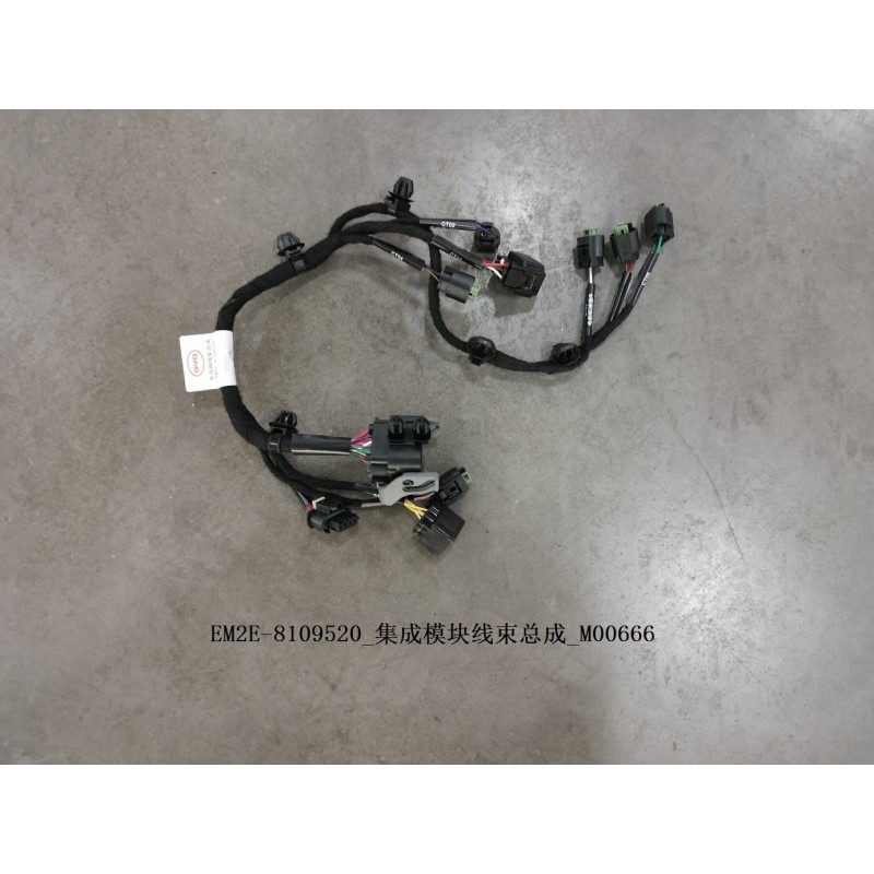 Integrated Module Harness Assembly | BYD 13229145-00 | Product view
