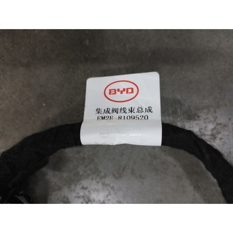 Integrated Module Harness Assembly | BYD 13229145-00 | Additional view 2