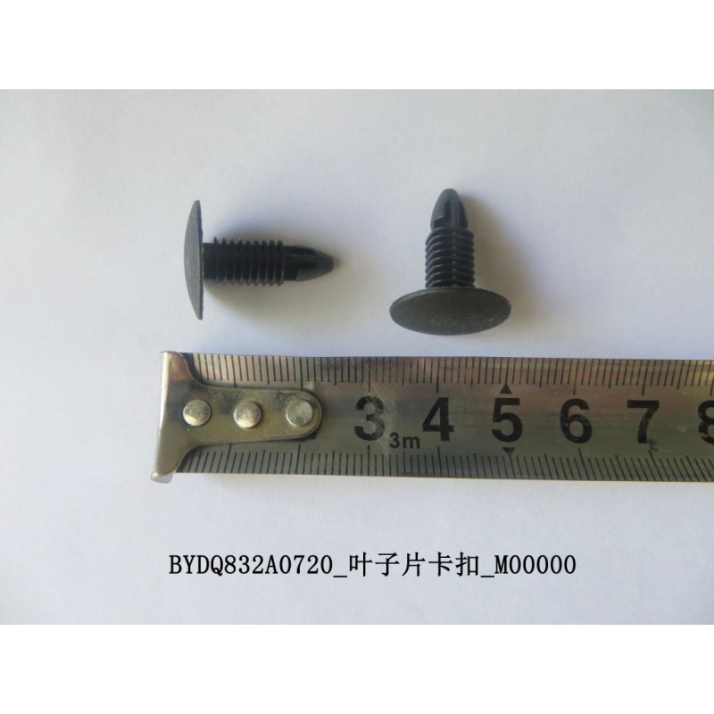 Leaf Clip | BYD 10215281-00 | Product view