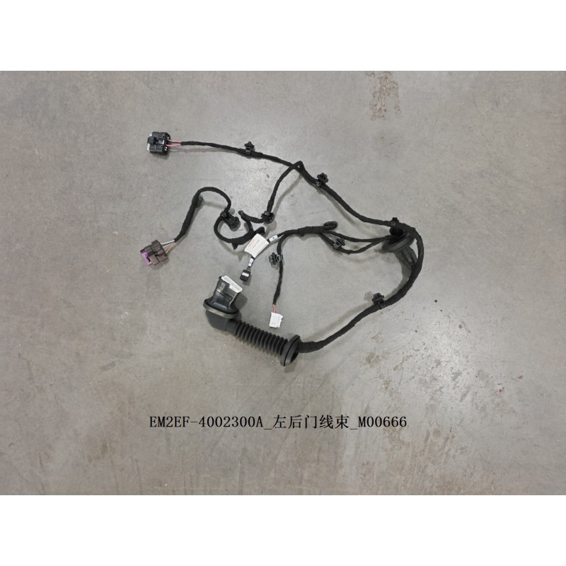Left Rear Door Wiring Harness | BYD 13364893-00 | Product view