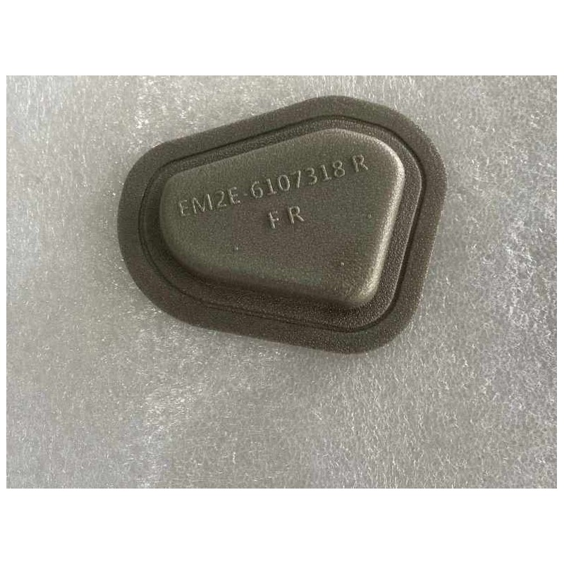 Right Front Door Sealing Plug Ⅳ | BYD 13151339-00 | Additional view 2