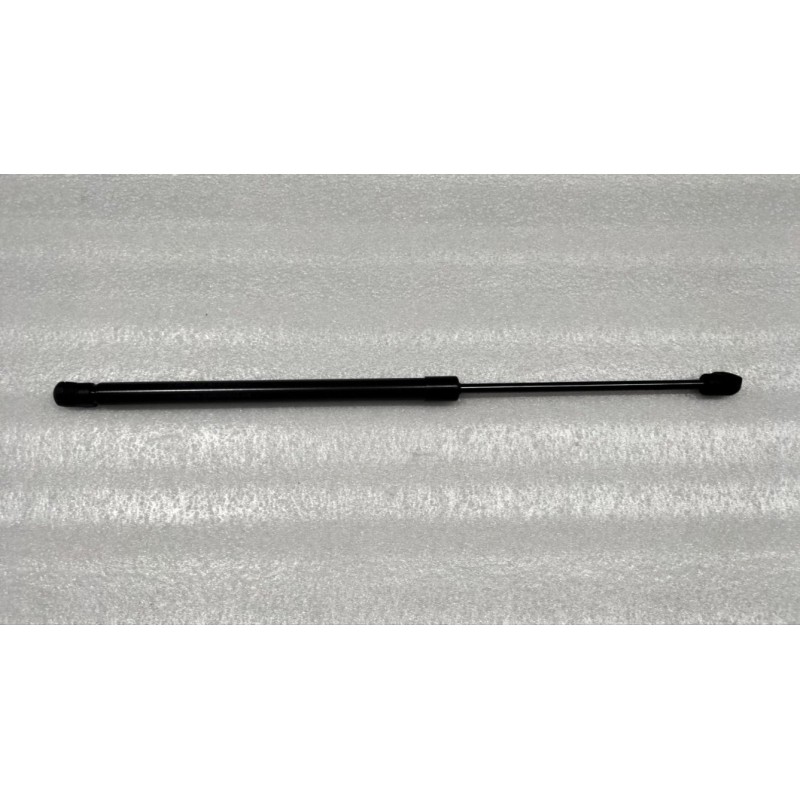 Right Gas Strut Of Trunk Lid | BYD 13874065-00 | Product view