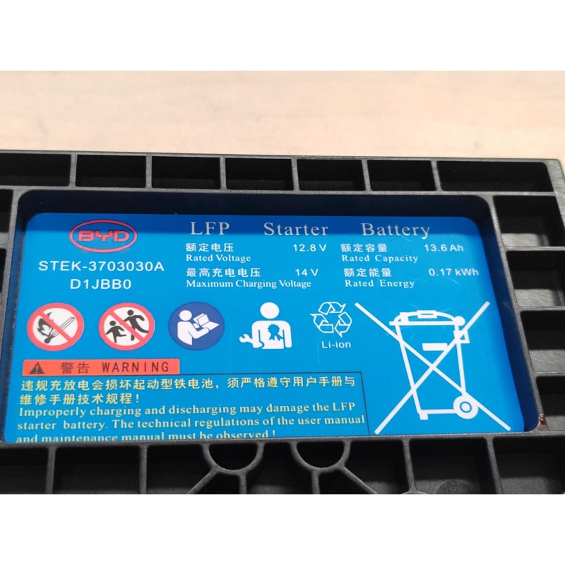 Starting-type Iron Battery | BYD 13891829-00 | Additional view 5