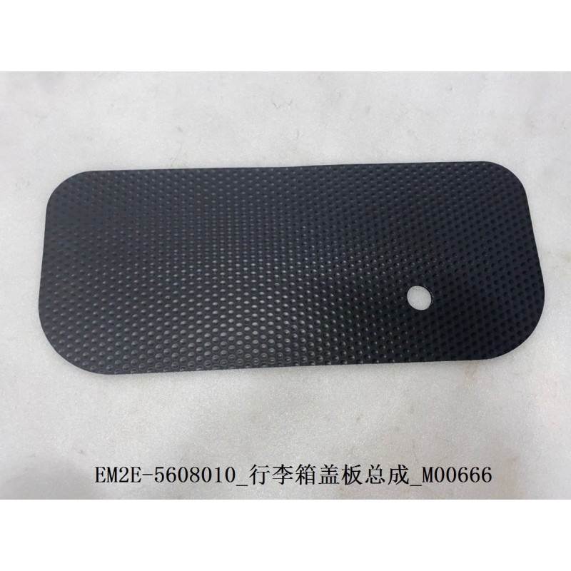 Trunk Lid Assembly | BYD 13156700-00 | Product view