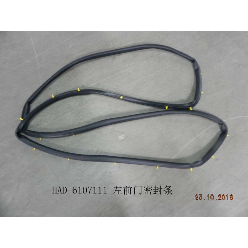 BYD King DM-i / Destroyer 05 Left Front Door Weatherstrip HAD-6107111 | BYD KING DM-i / DESTROYER 05 | 12225860-00