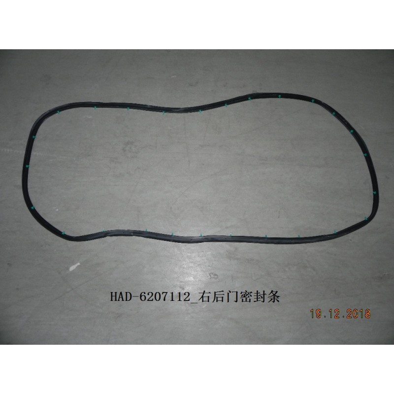 BYD King DM-i / Destroyer 05 Right Rear Door Weatherstrip HAD-6207112 | BYD KING DM-i / DESTROYER 05 | 12225799-00